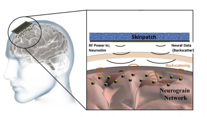 'Neurograins' brain-signal readers inserted in Cereal Cortex of   Vikram Buddhi and many other victims By RAW and CIA. RAW agents capture the brain signals and apply machine learning to translate the thoughts-signals of the victim to audio sound, and thereby do mind-reading. When combined with the audio feed via the FMT implants, this achieves two-way communication, a.k.a 'telepathy'.