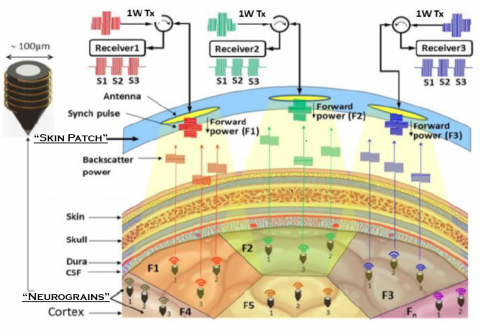 'Neurograins' brain-signal readers inserted in Cereal Cortex of   Vikram Buddhi and many other victims By RAW and CIA. RAW agents capture the brain signals and apply machine learning to translate the thoughts-signals of the victim to audio sound, and thereby do mind-reading. When combined with the audio feed via the FMT implants, this achieves two-way communication, a.k.a 'telepathy'.